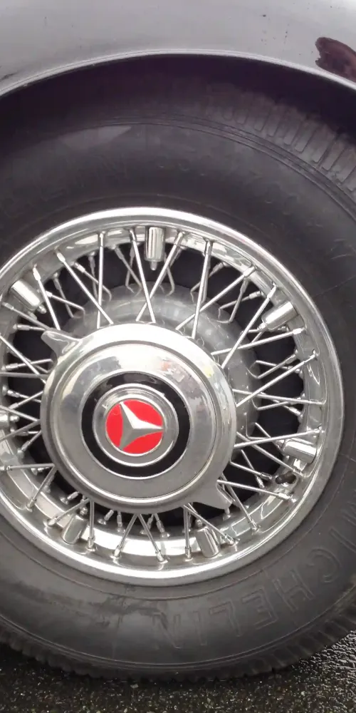 the boat sails on the sea among the plants