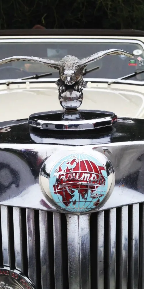 the boat sails on the sea among the plants